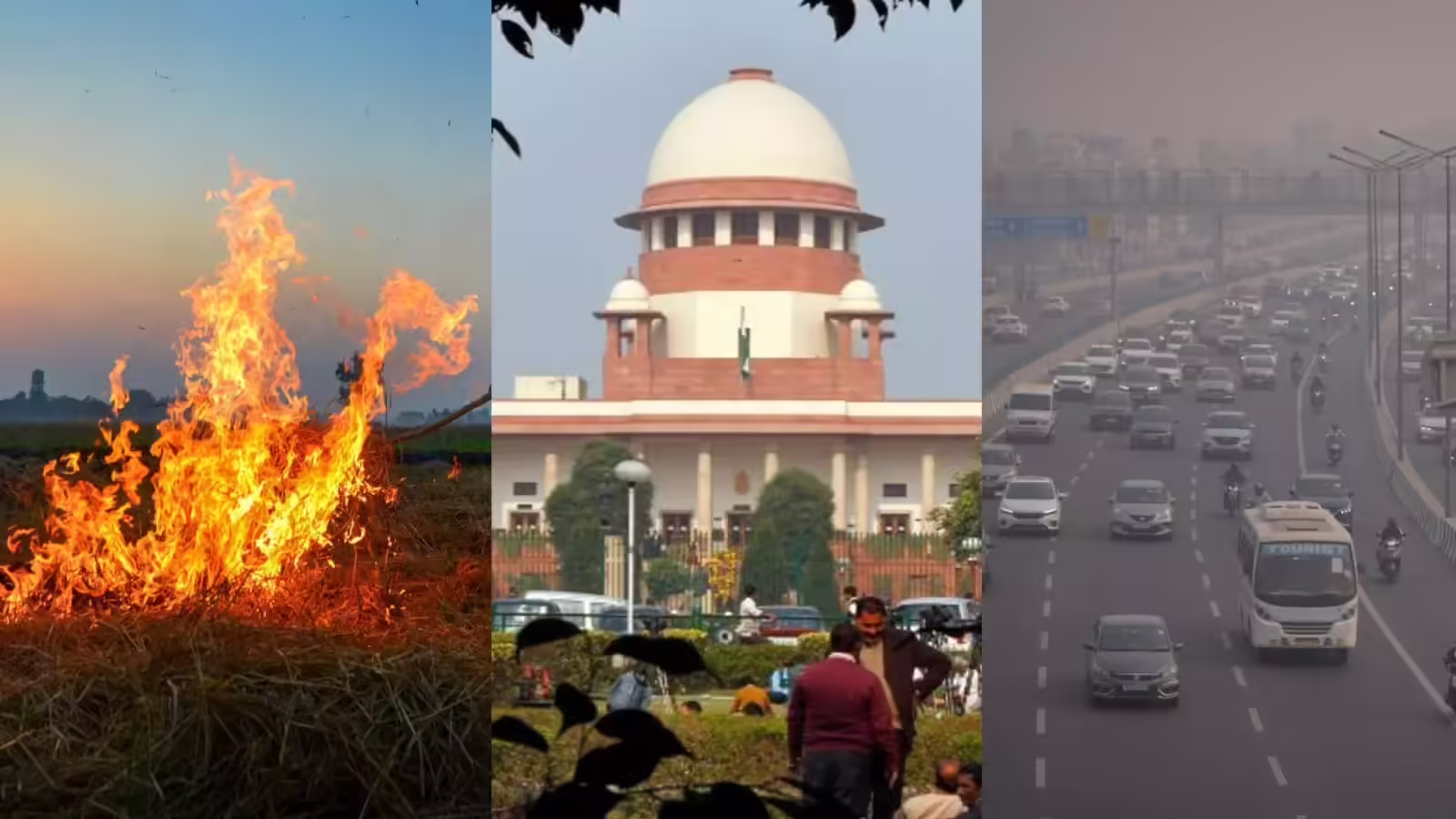 Supreme Court: Covid Lai Pawhin Buh An Hala, Boruak A Chhiat Phah Lo; Delhi Boruak Tibawlhhlawhtu-ah Hian Lo Neitute Chauh Puh Theih An Ni Lo