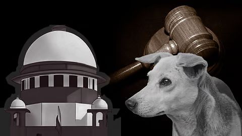 Supreme Court Chuan State Ṭhenkhat Chief Secretary-te chu ABC Rules Zawmna Thehluh Loh Avangin Court Hmaa Inlan Turin a Ti